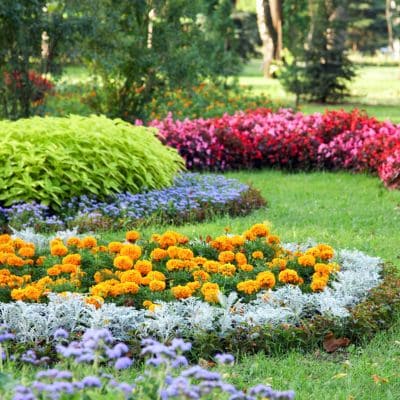 Landscaping