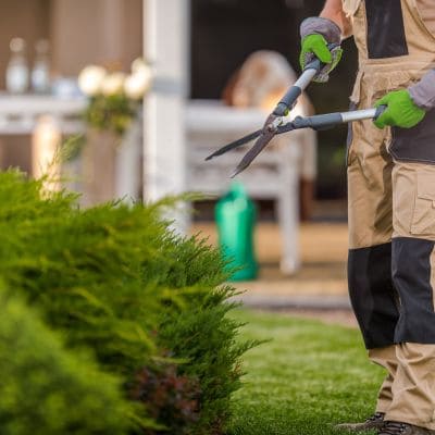 Elkhorn Landscaping