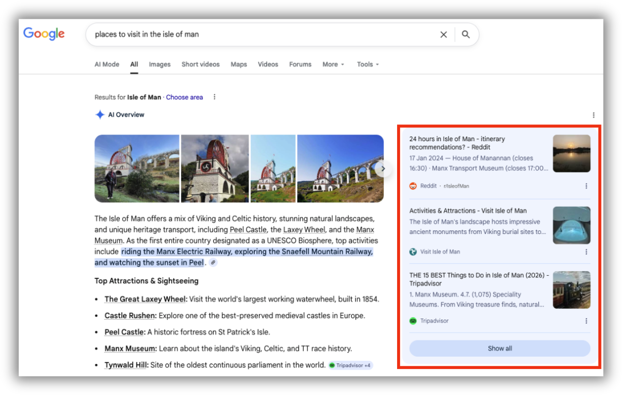 Google AI Search Example