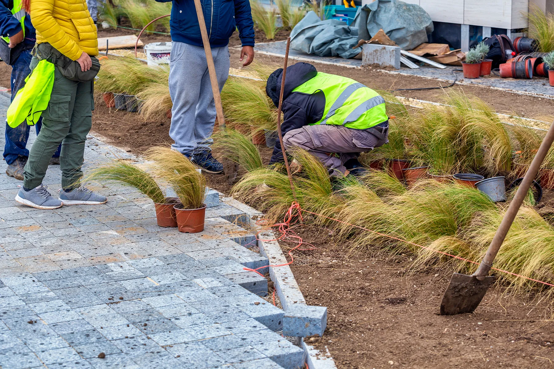 Planting and greenery landscape project