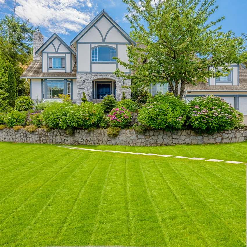 Landscape service placeholder image