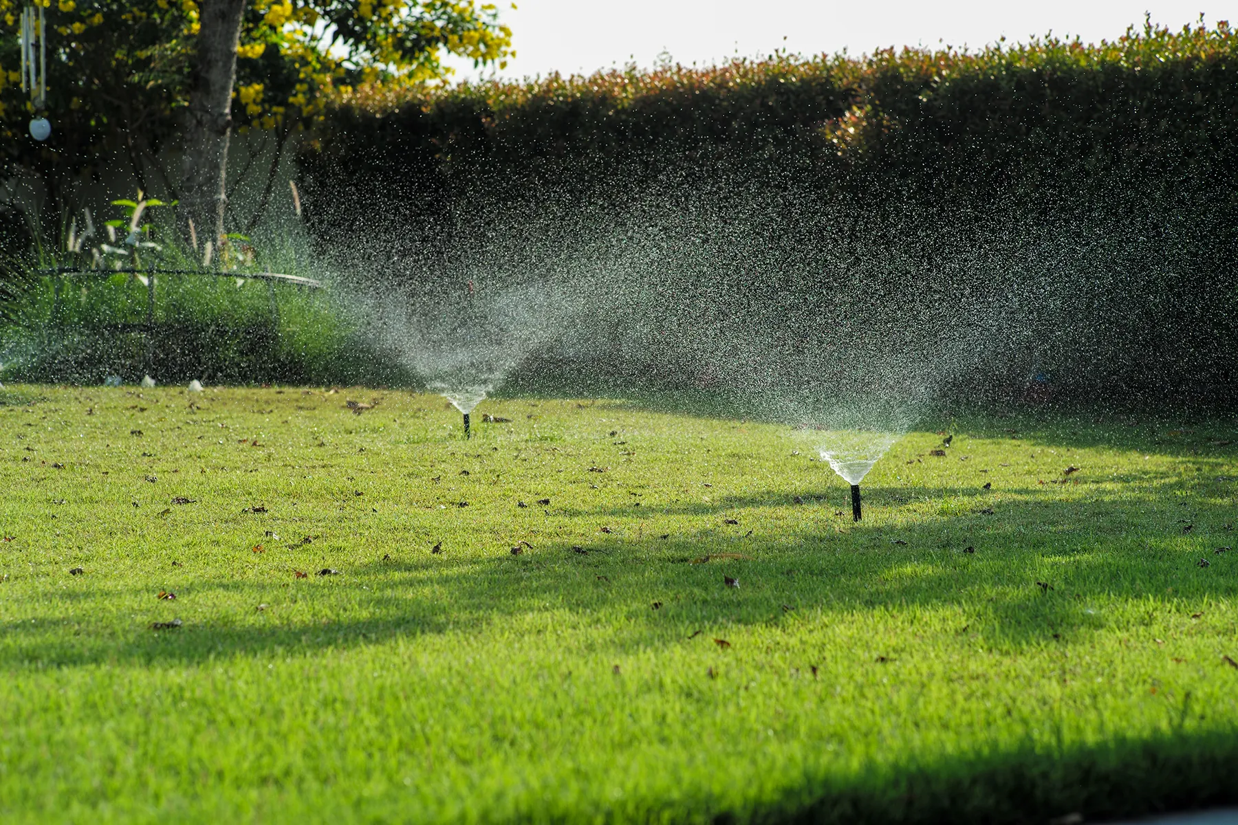 Natural grass installation for Oregon lawns