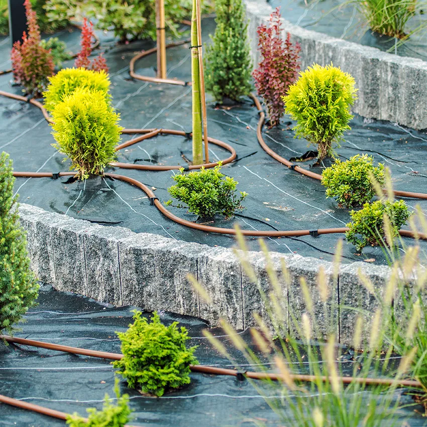 Drip irrigation system in Beaverton Oregon