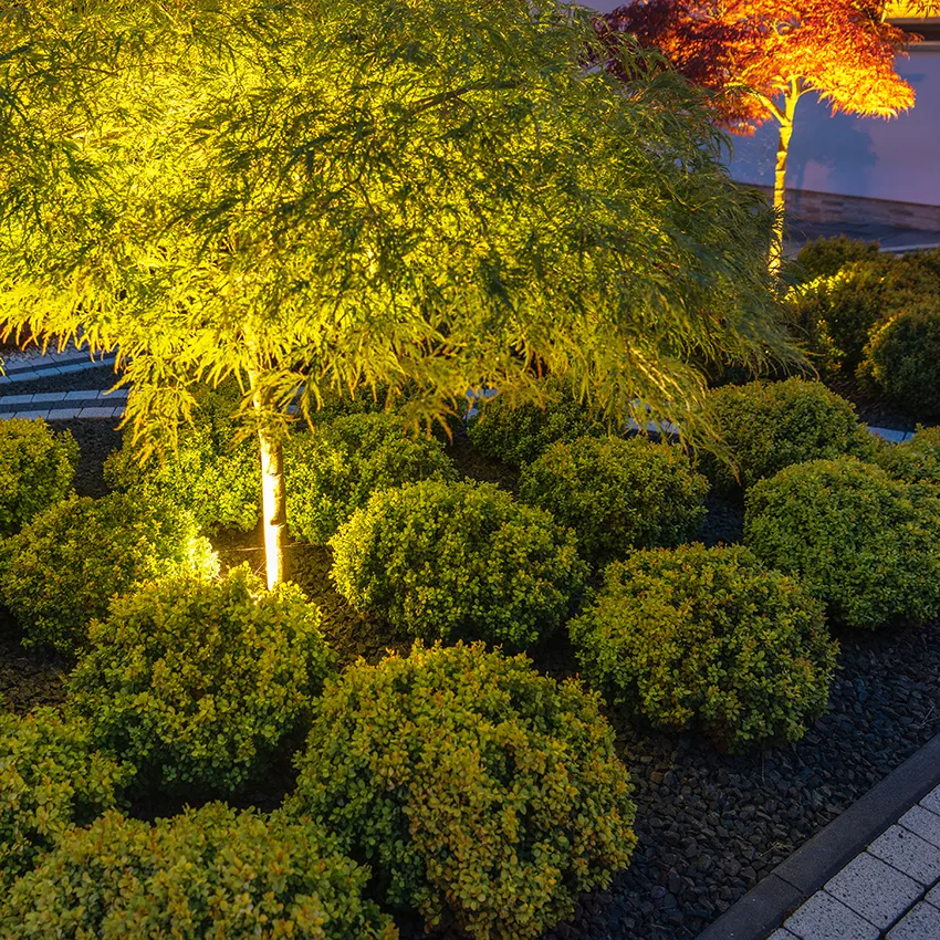 Uplighting for landscape features in Beaverton Oregon