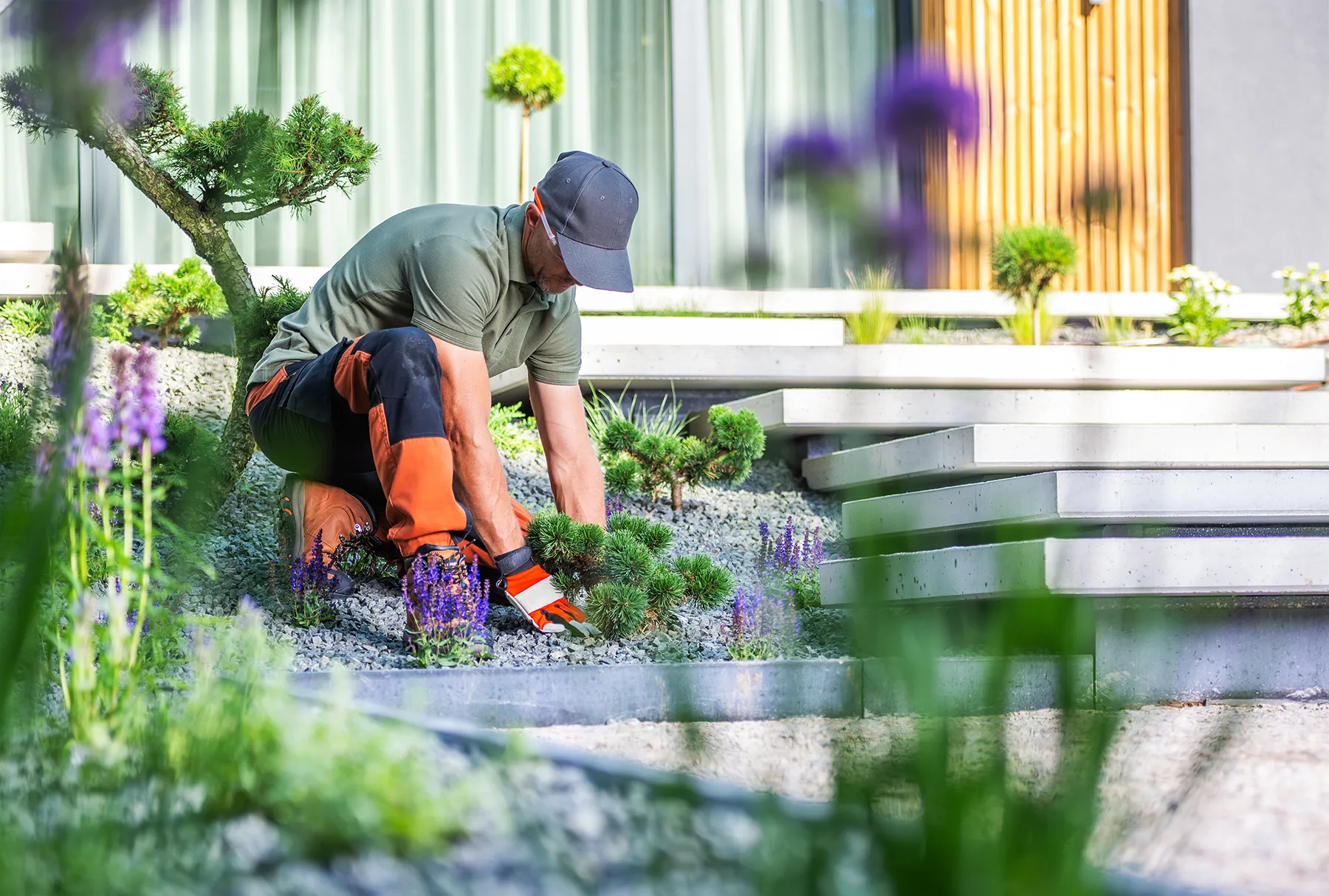 Yard cleanup service for Oregon homes