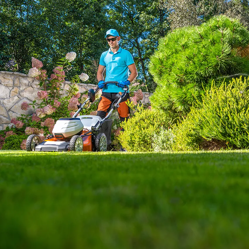 Commercial and Residential lawn care in Beaverton Oregon