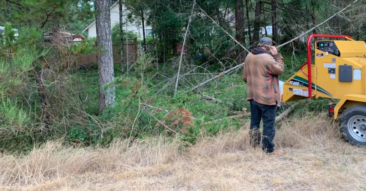 Shrub Removal & Trimming