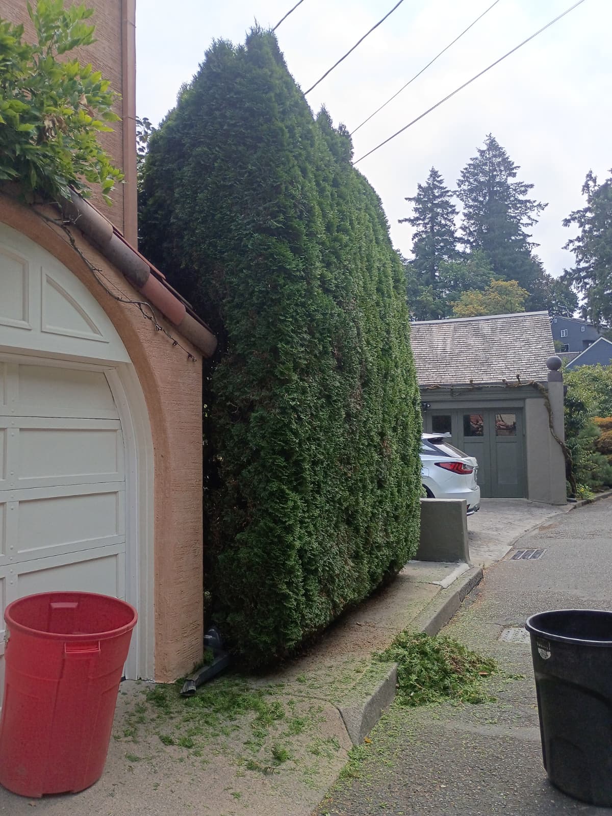 Maintained outdoor property in a residential setting