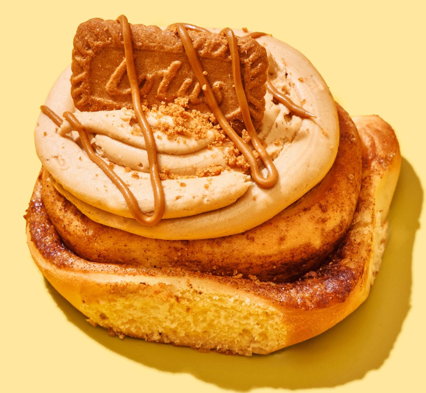 Lotus Bischof Cinnamon Roll