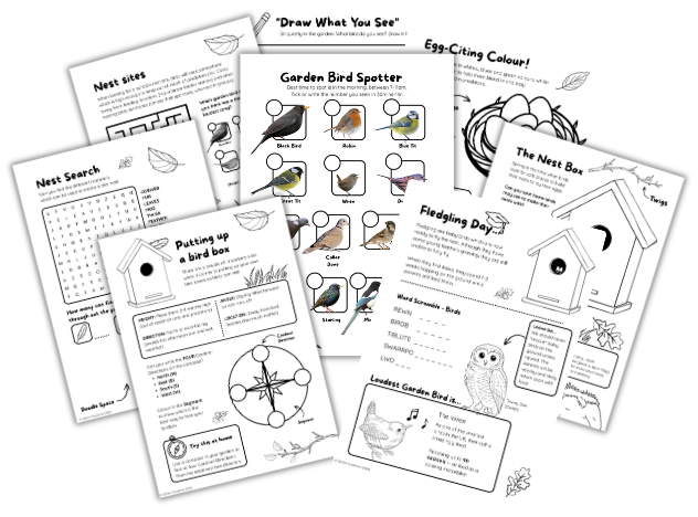 Birds of Spring Activity Pack - Gittin Creative