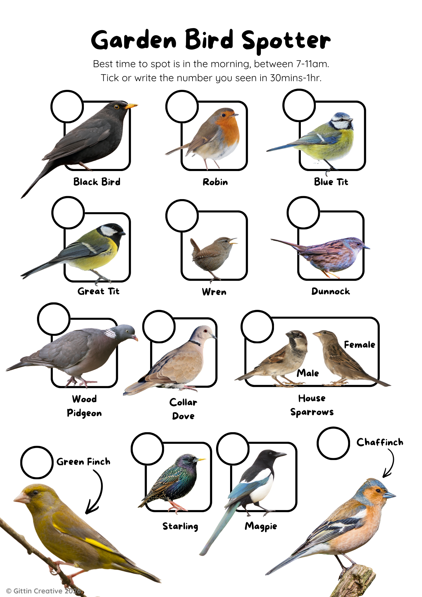 UK Bird Spotting Sheet - Screen Free Activity UK Bird Spotting Sheet - Screen Free Activity