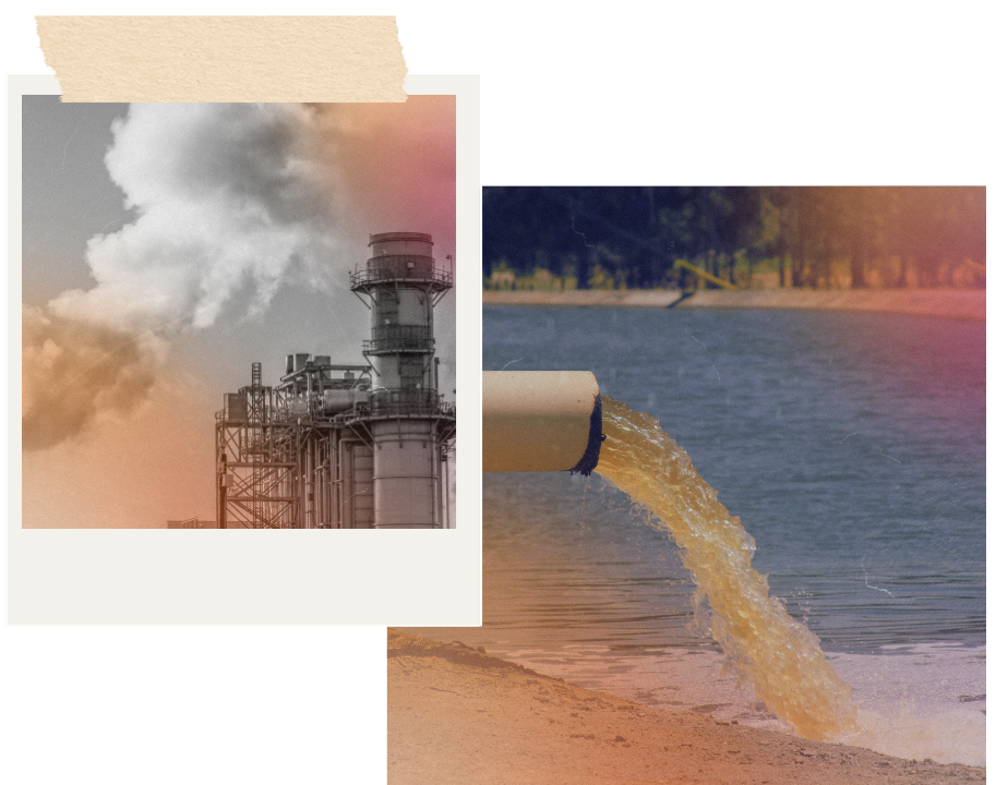 Environnement toxique