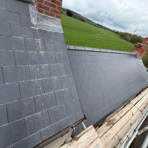 Recent roof project