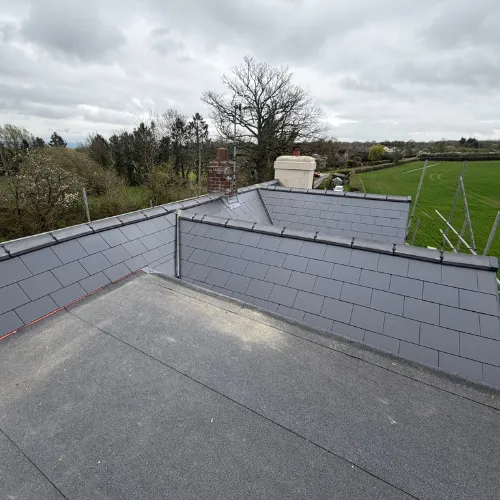Recent roof project