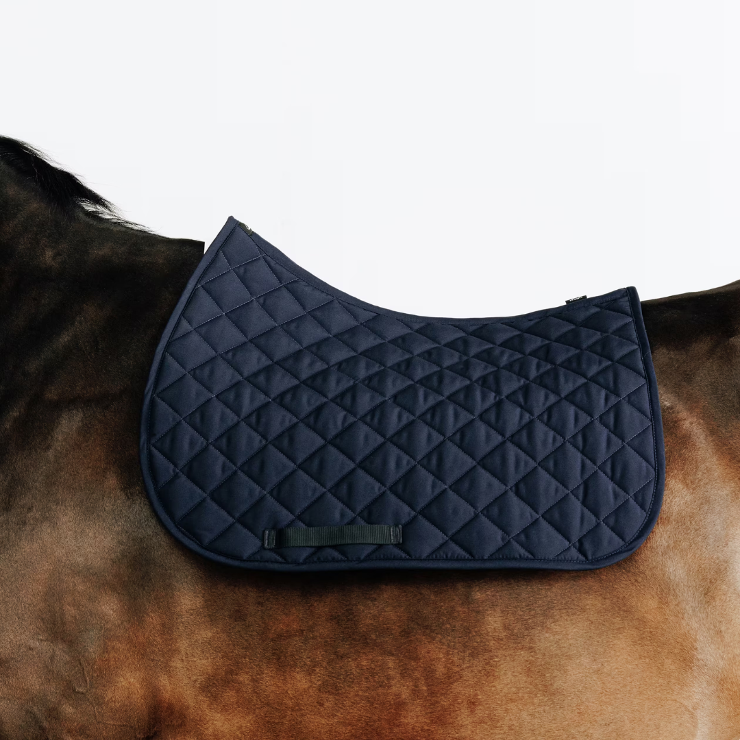 Horse Blanket Cleaning