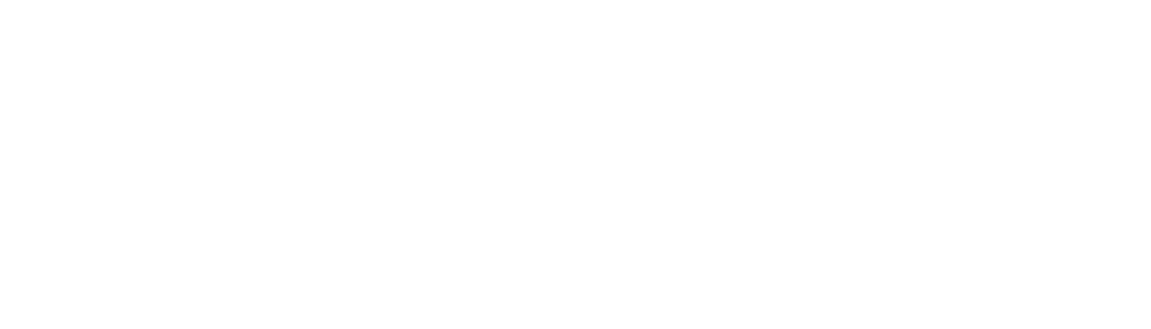 Fortis Planning
