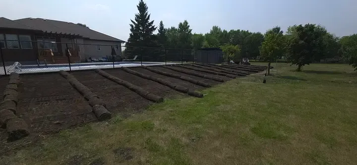 Sod Installation