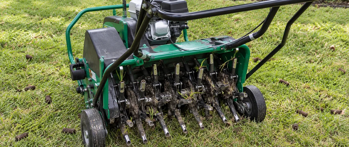 Aeration & Overseeding