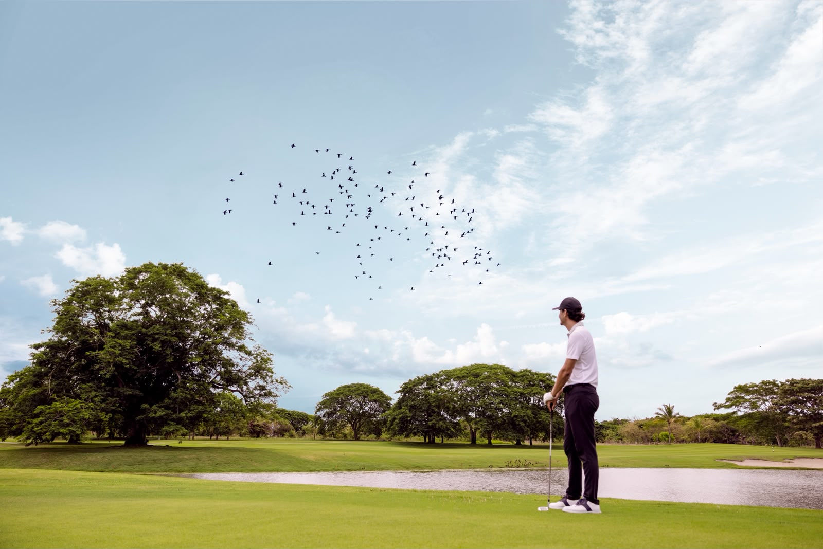 Championship Golf