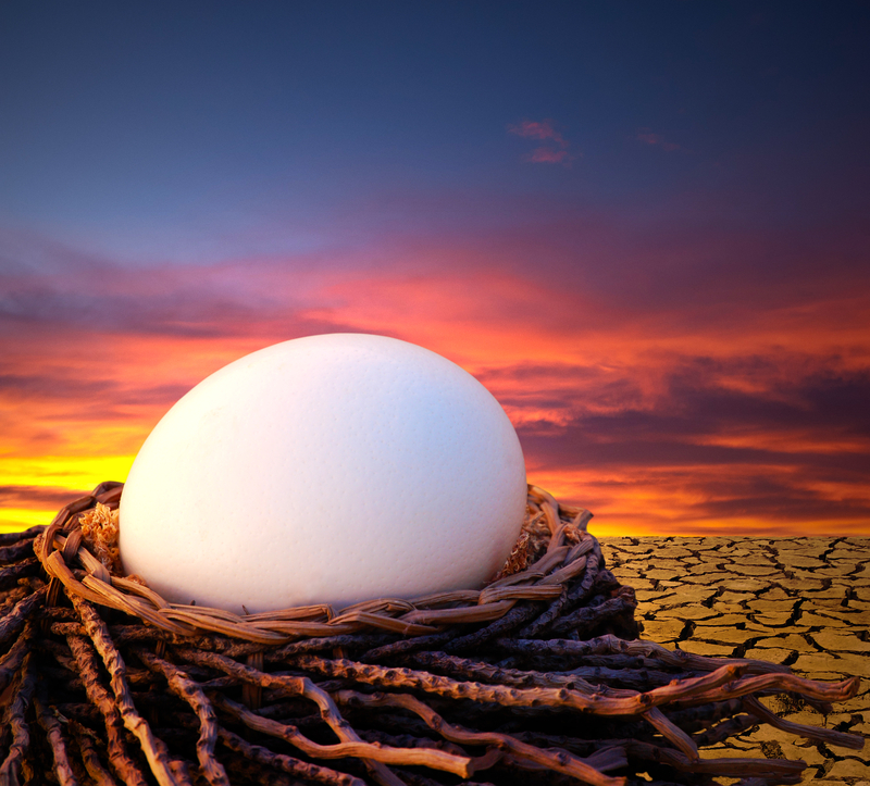 rebirth