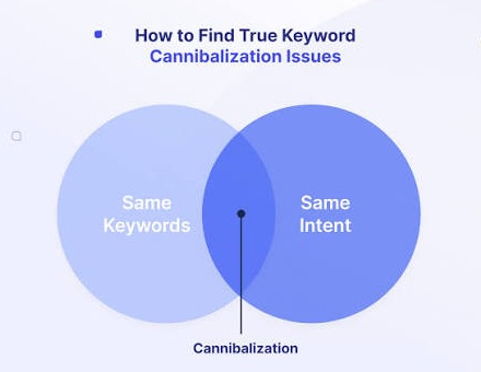 a pic that shows where the cannibilization happens on keywords