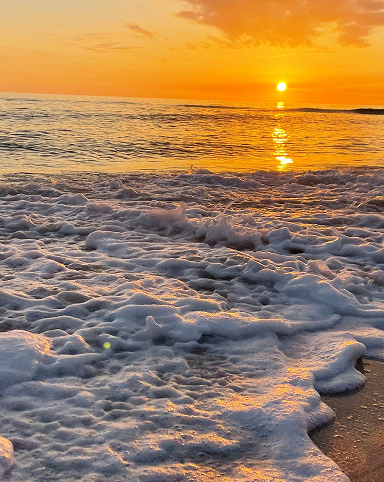 A vibrant collage showcasing Allan and Nicole Blain enjoying adventurous, joyful moments together — from fishing and horseback riding to beach sunsets and tropical getaways — embodying the essence of a thriving, high-performance marriage.