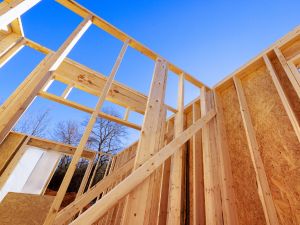 {{ custom_values.service_3 }} in {{custom_values.area_1})