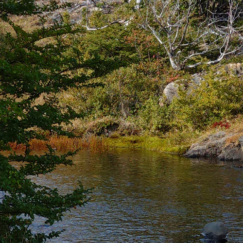 living intentionally