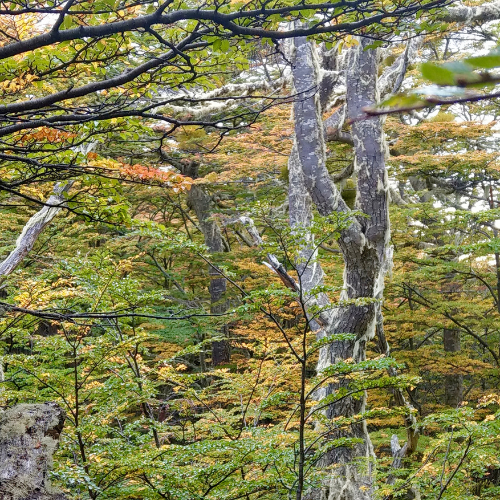 RESILIENCE TO AI BRILLANCE