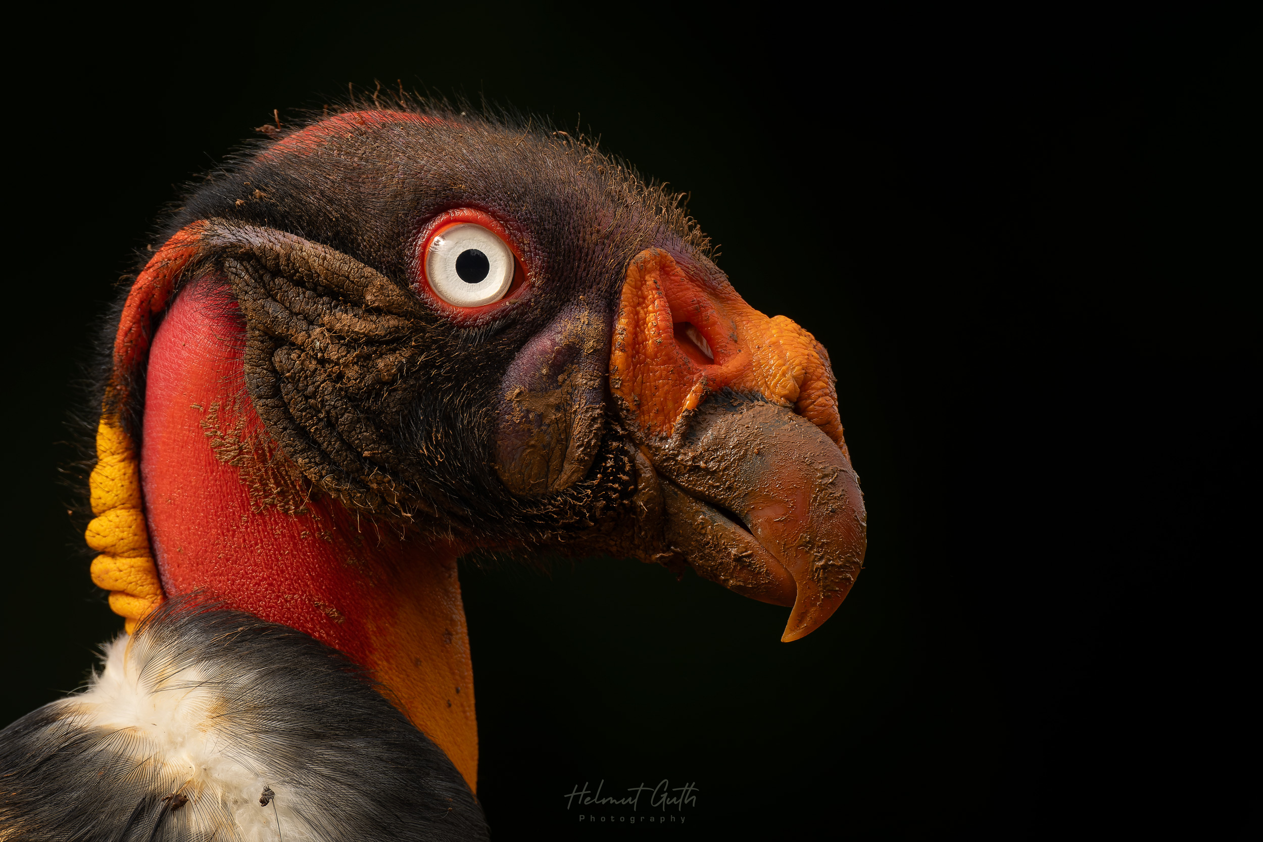Photographed on day 3 of the workshop
