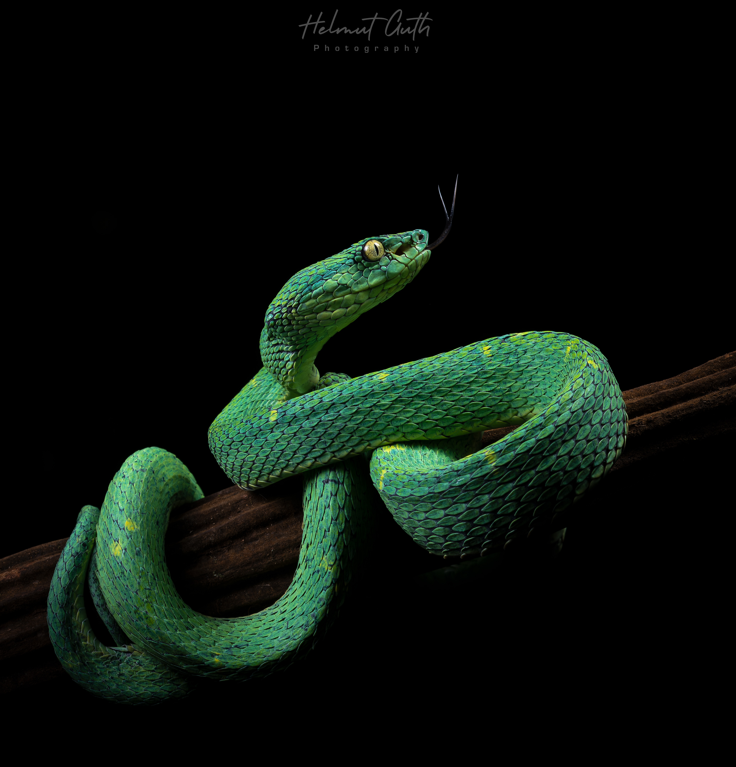 Photographed on day 5 of the workshop