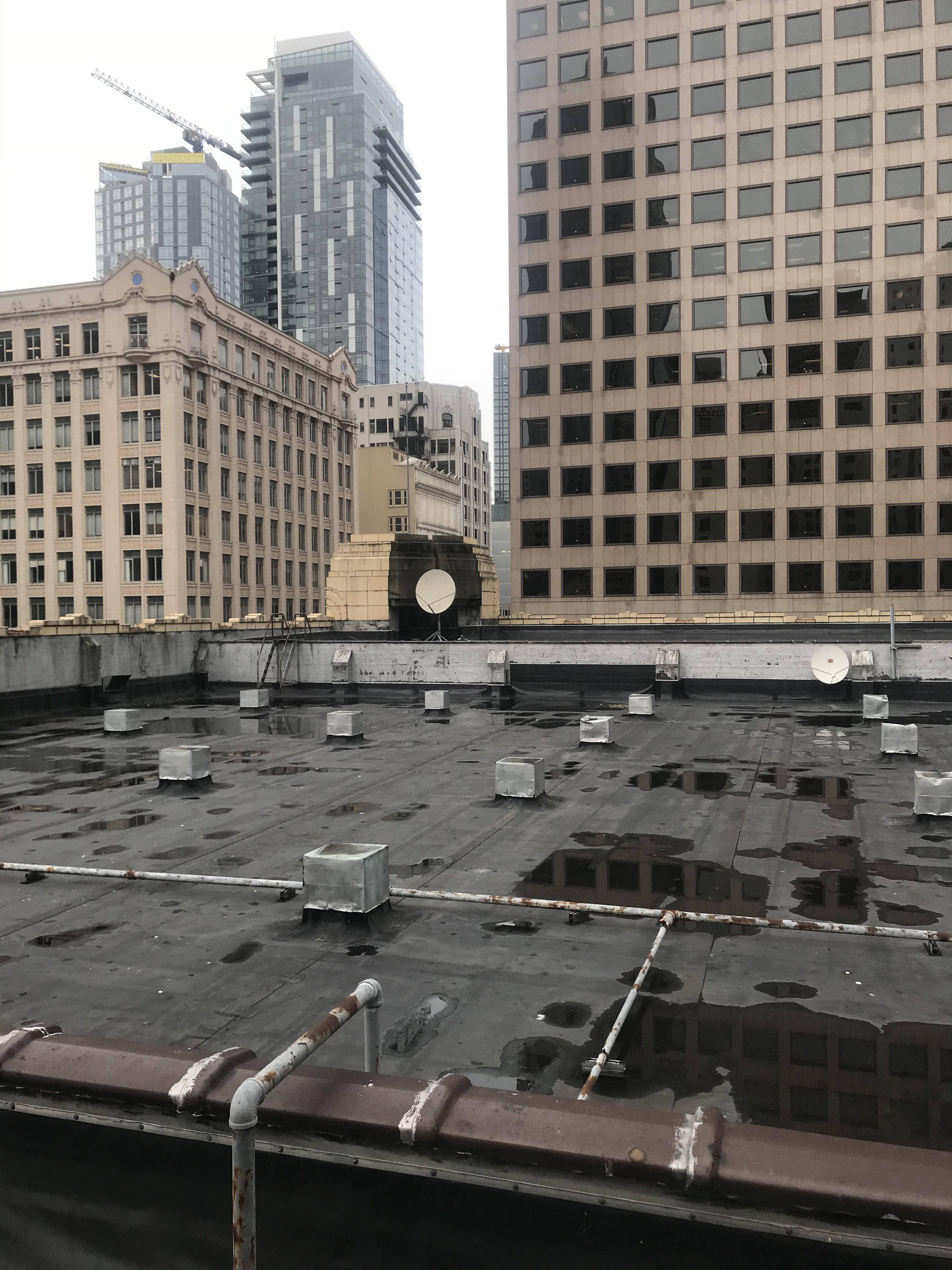  Bellevue