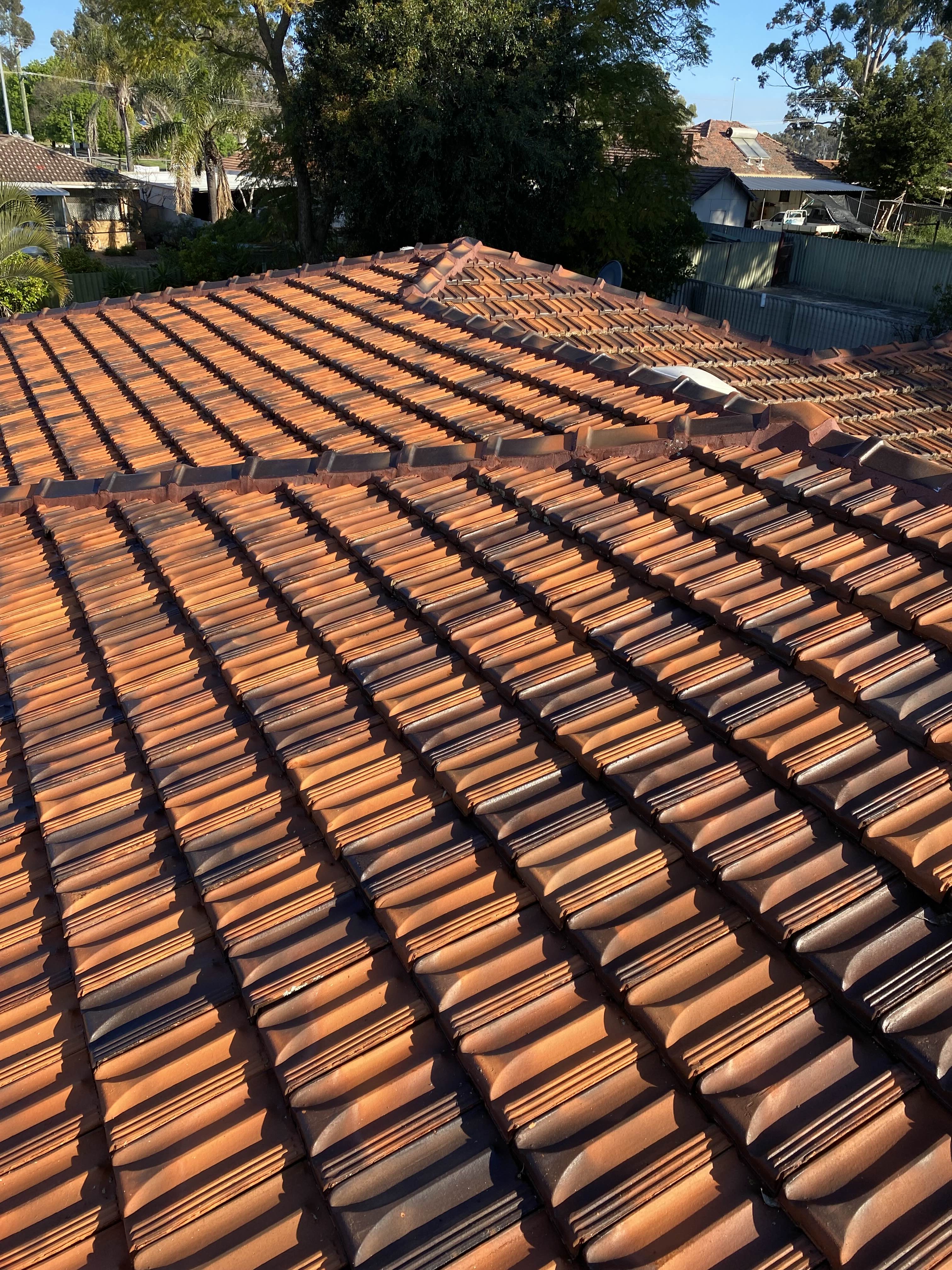 A Perth tile roof after cleaning, back to bare terracotta
