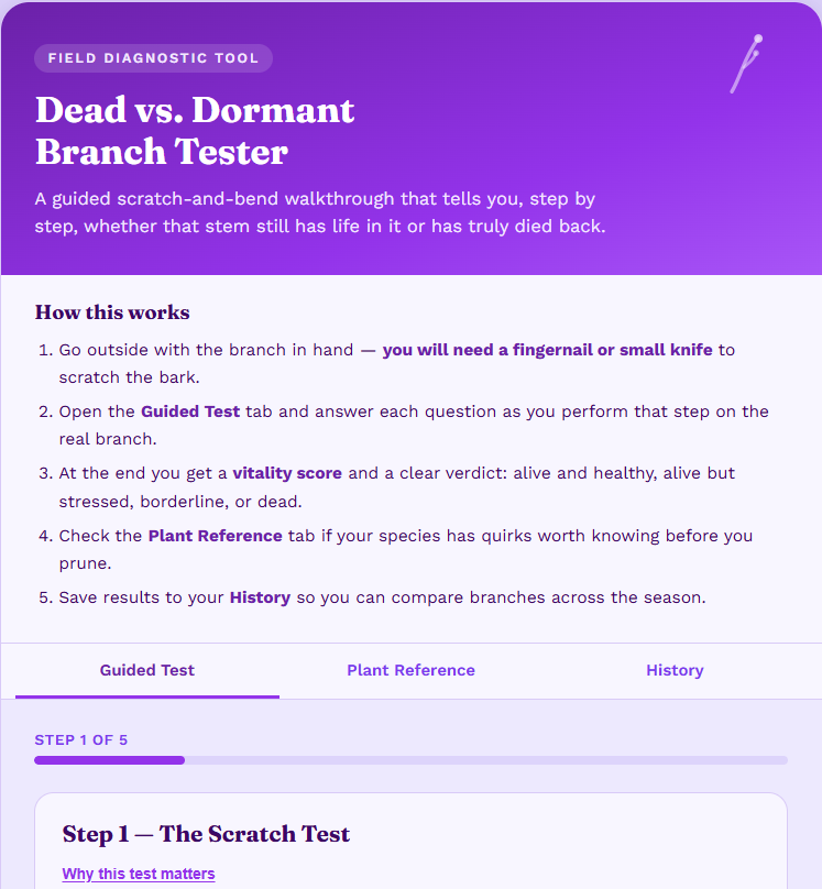 Dead Versus Dormant plant checker product preview