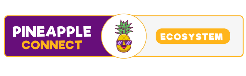 Pineapple Connect