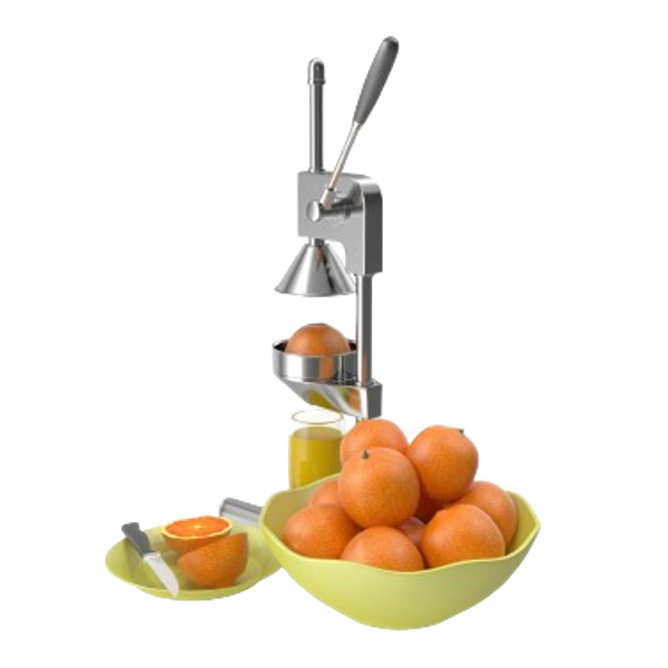 Cat_fitness-nutricion4