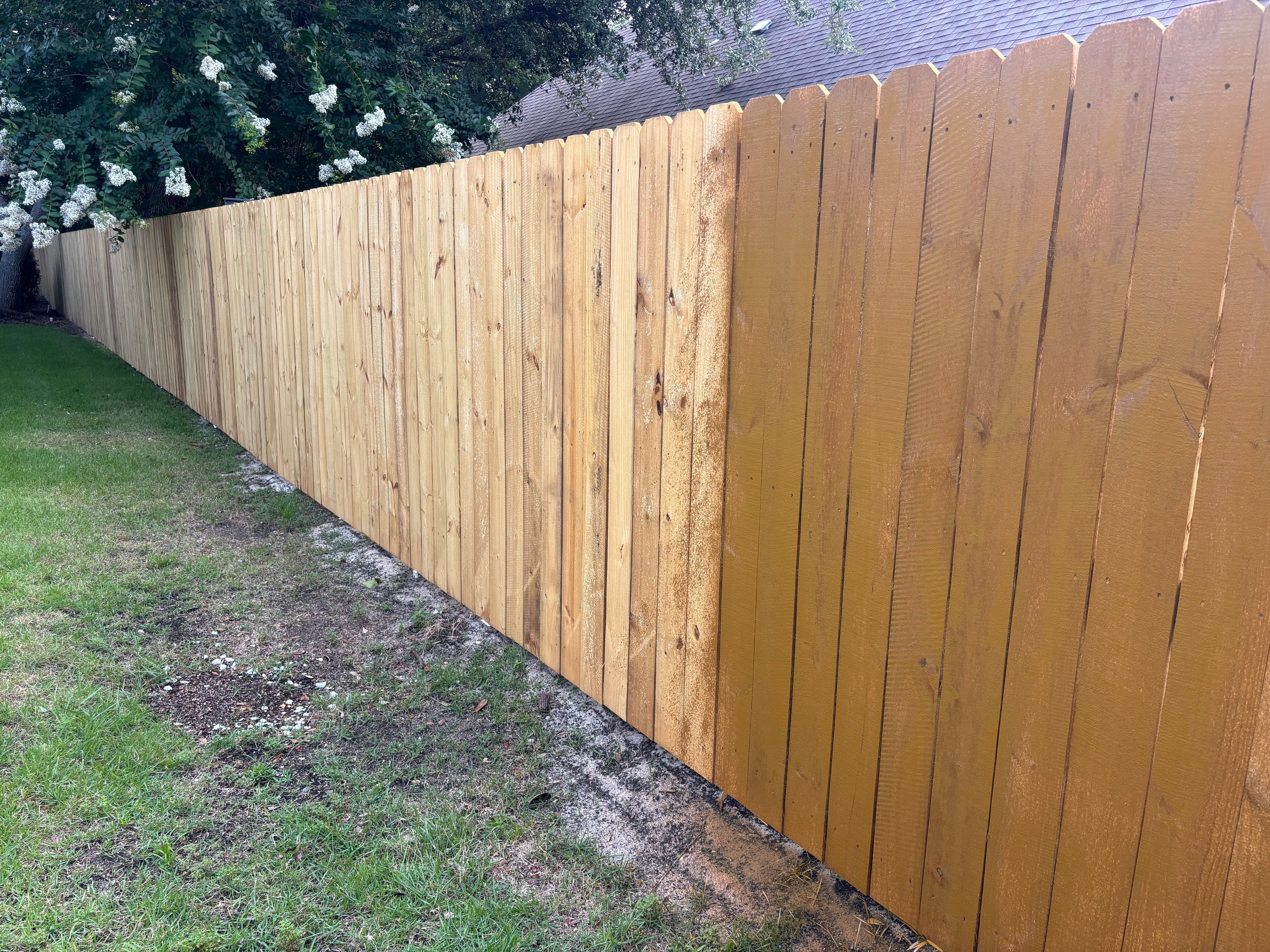 Professional fence staining in Walton County FL