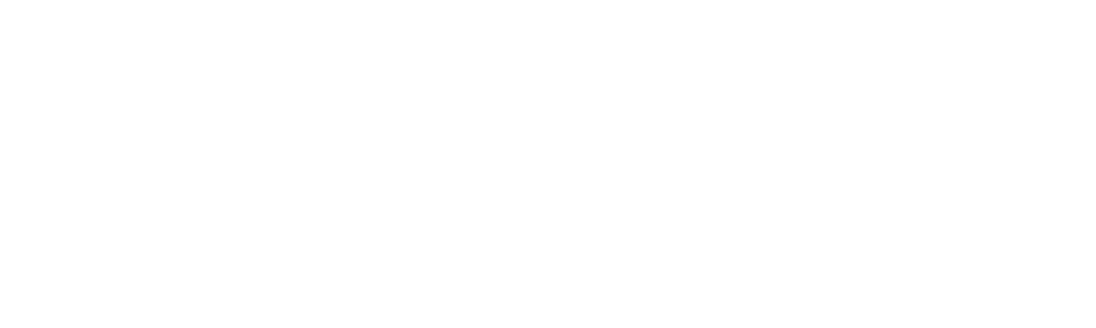 ProShine Inc. Auto Detailing