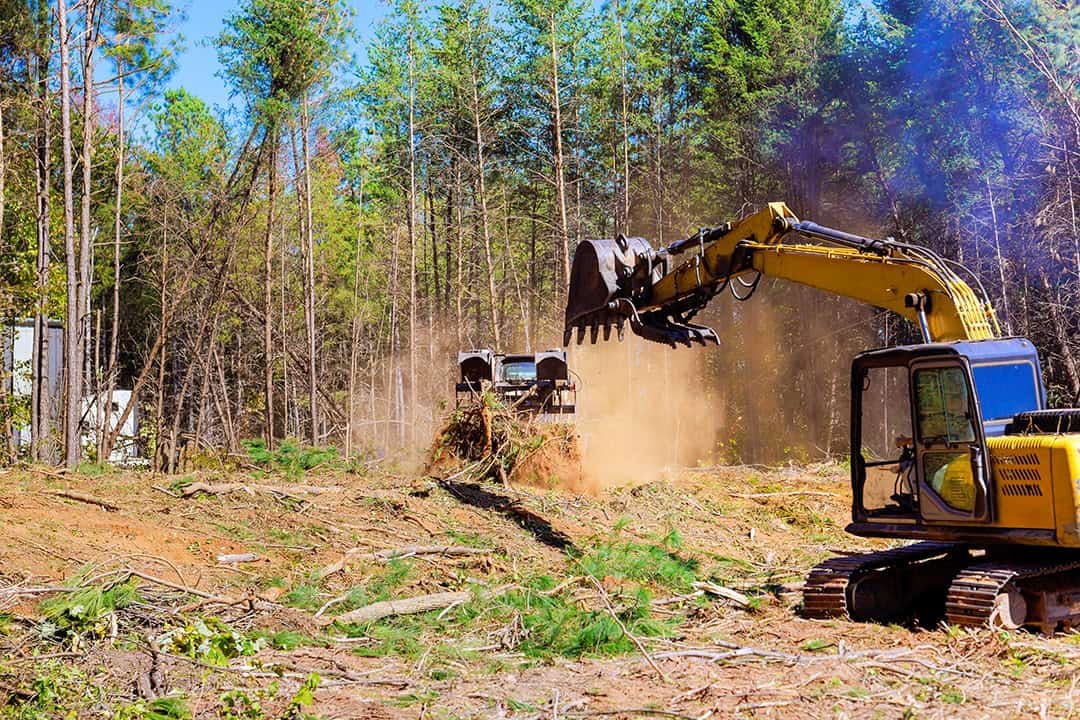 Residential Site Clearing