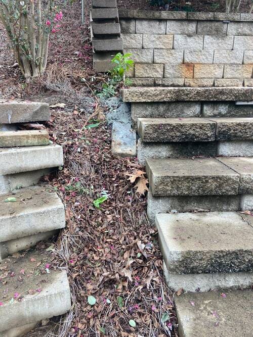 Landscaping & Garden Services 