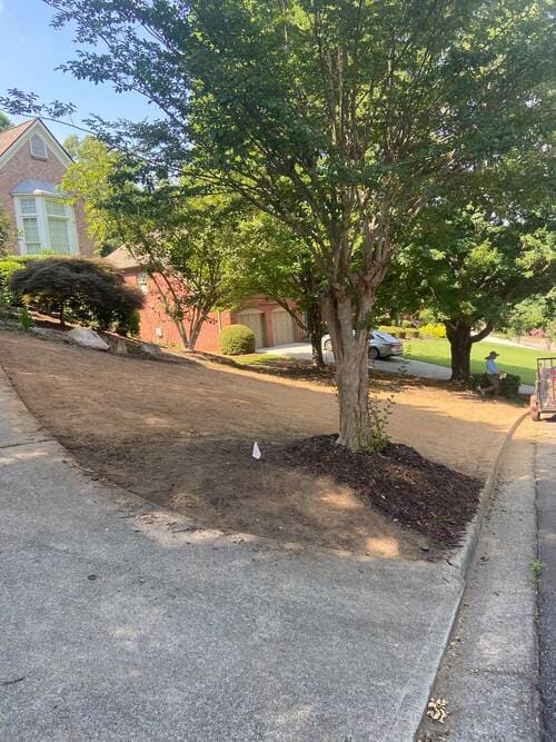 Suwanee Property Cleanup