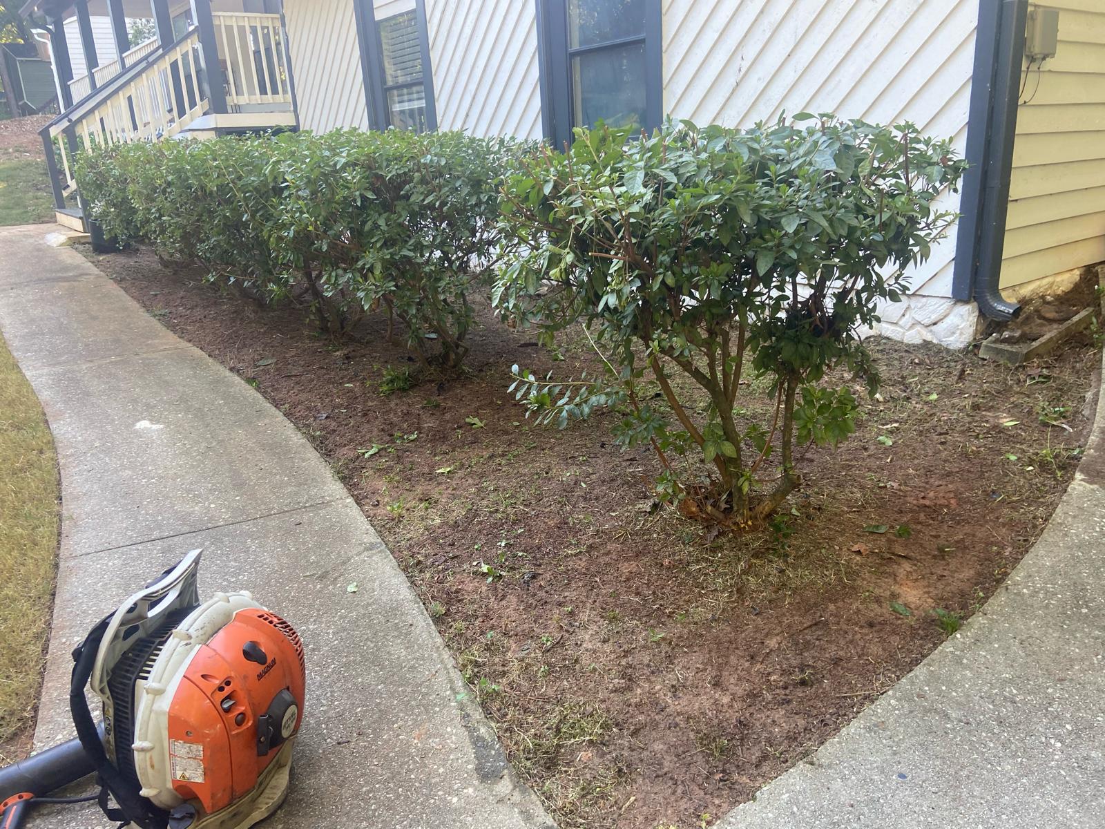 Suwanee Landscaping & Garden Services