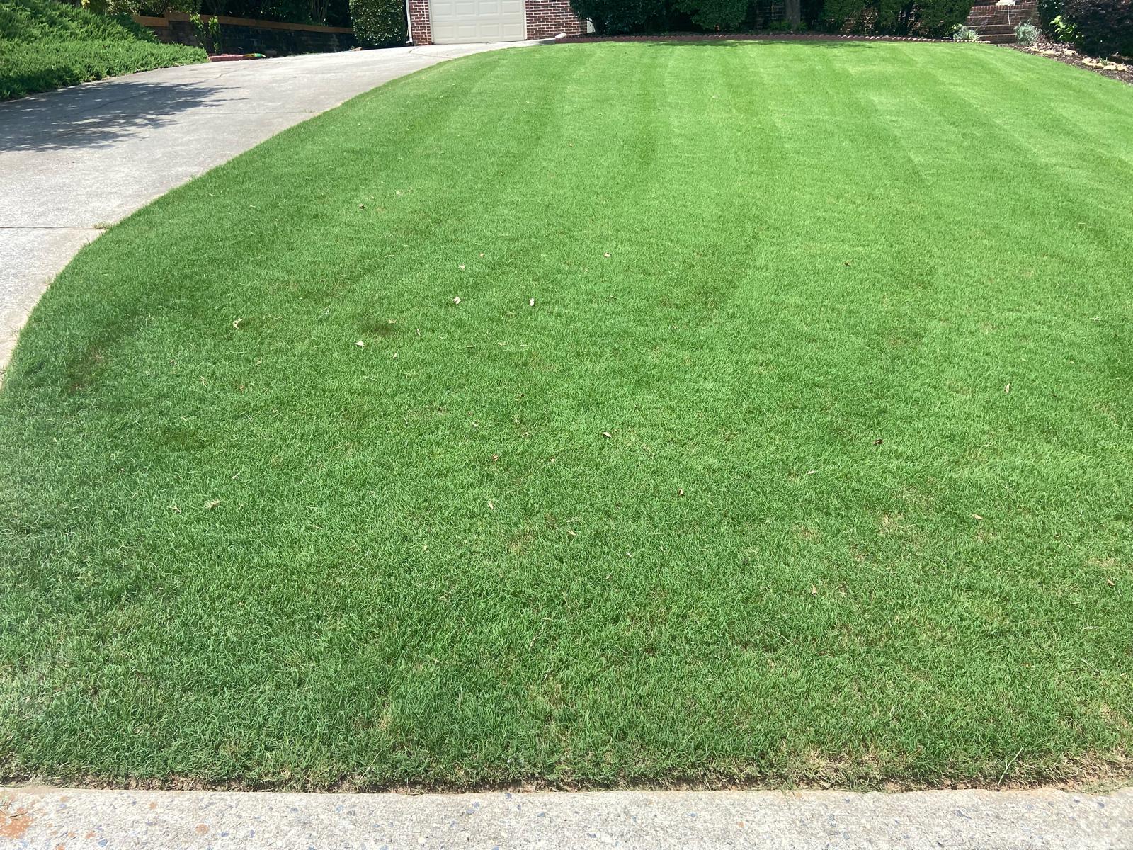 Suwanee Lawn Care & Maintenance