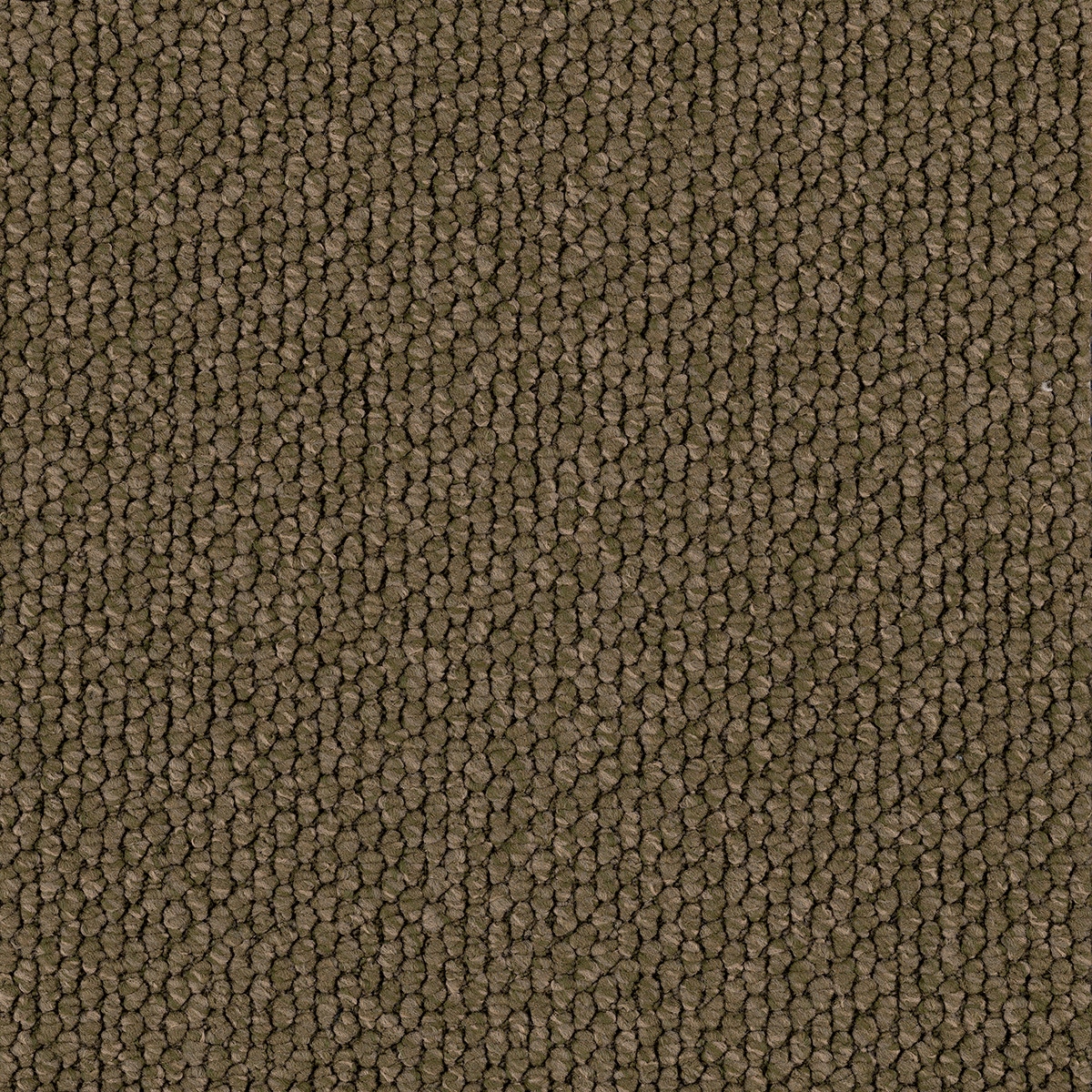EC Carpets, Flinders Gorge, Beltana 3406, Carpet