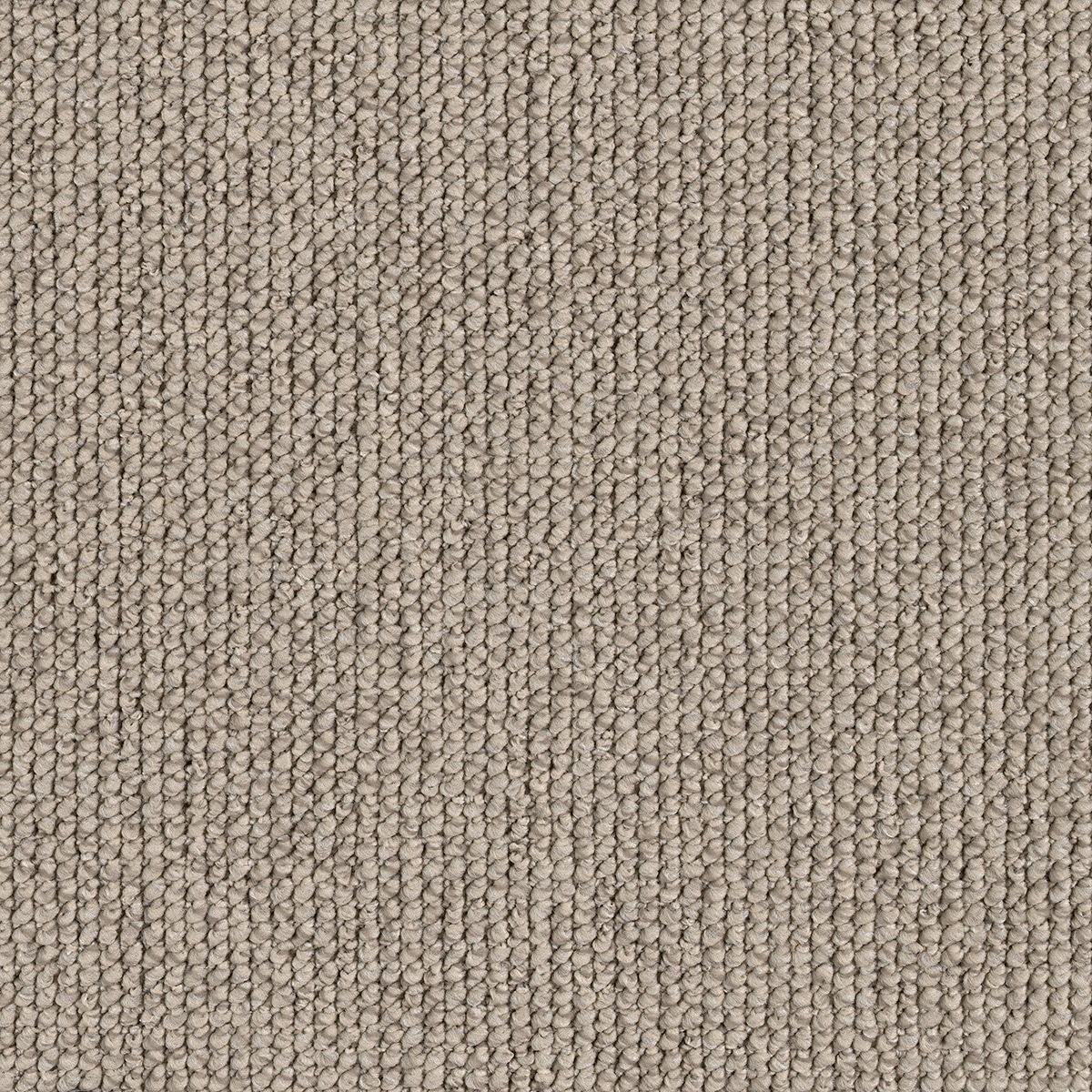 EC Carpets, Sky Bridge, Webb 8103, Carpet