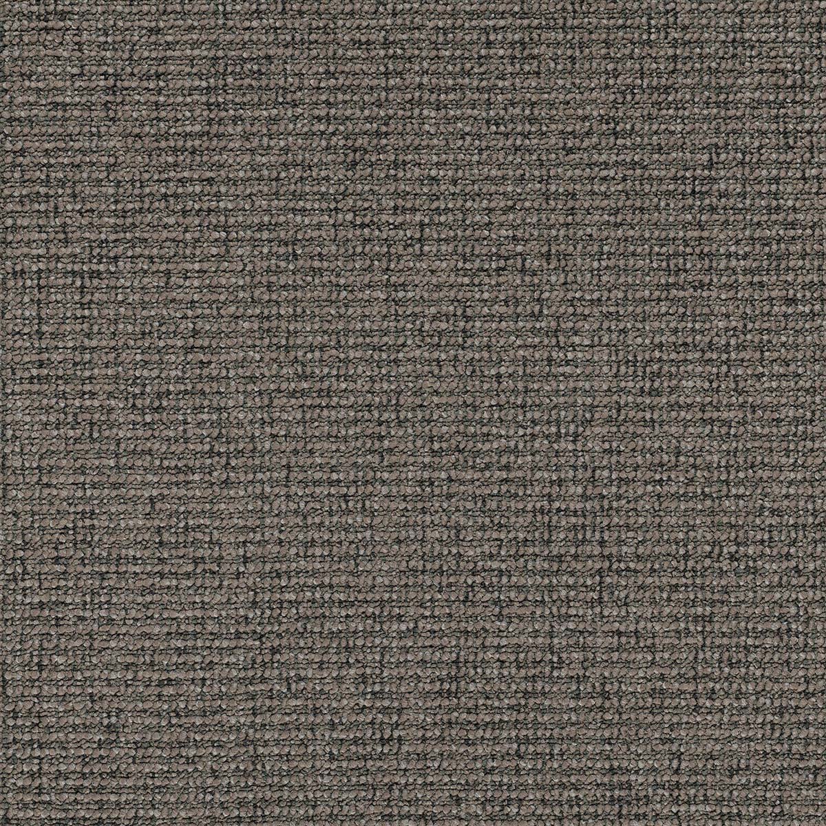 EC Carpets, Langhorne Hut, Borrett 1905, Carpet