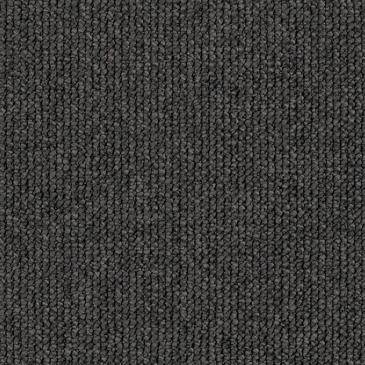 EC Carpets, Sky Bridge, Tasman 8107, Carpet