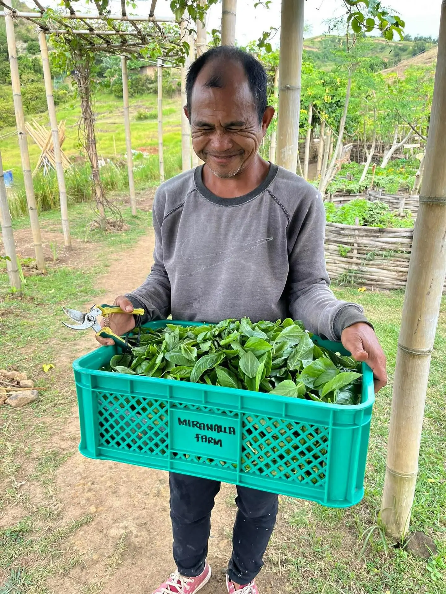 Farm life in Guindulman, Bohol