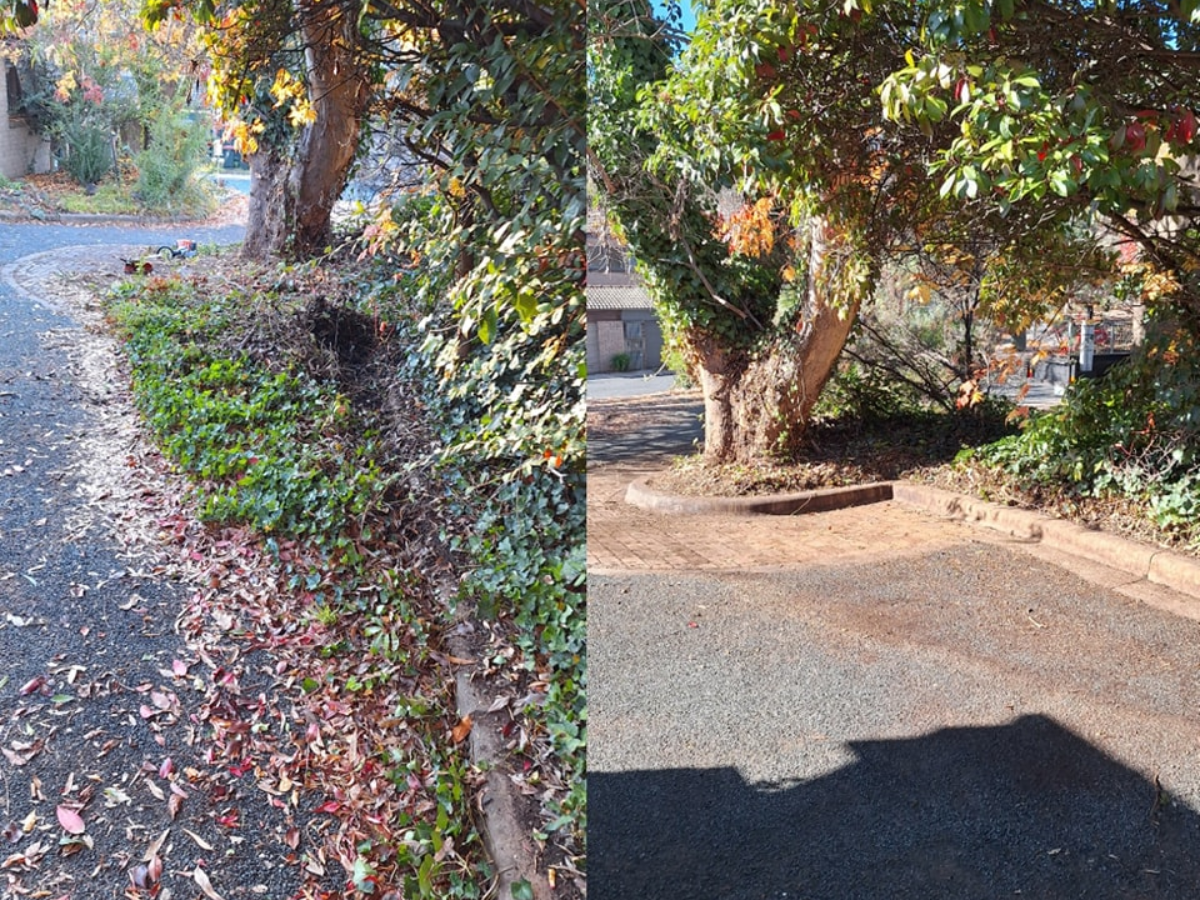 green waste-removal canberra before after.jpg green waste-removal canberra before after.jpg