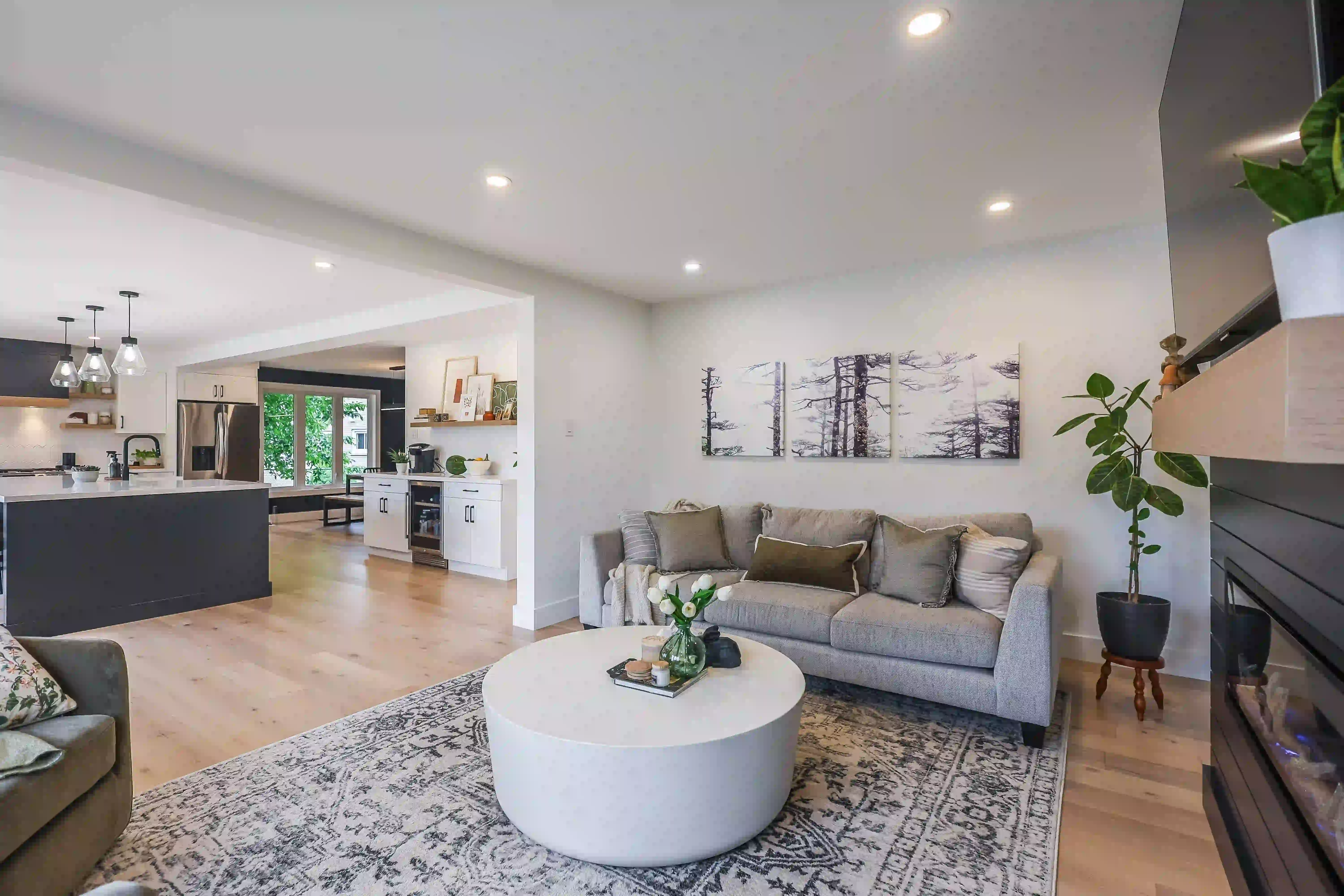 Open living room and kitchen connection